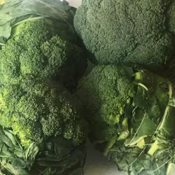 Baguio Broccoli at Bacolod Pages