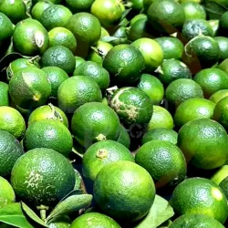 Calamansi