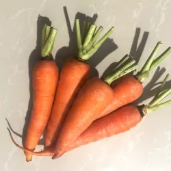 Carrots