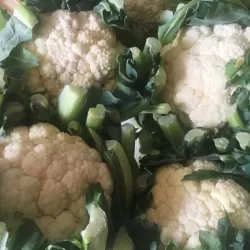 Cauliflower at Bacolod Pages