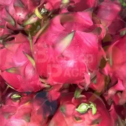 Dragon Fruit