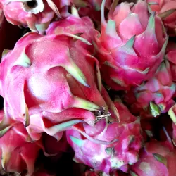 Dragon Fruit