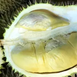 Durian at Bacolod Pages