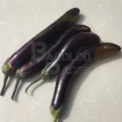 Eggplant