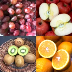 Fruits Set 2