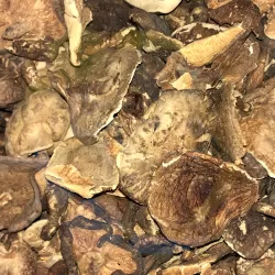 Mushrooms (dried)