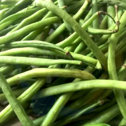 French beans