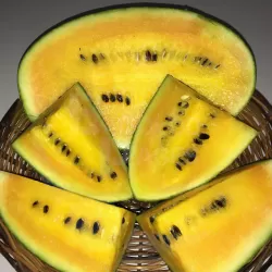 Watermelon Yellow