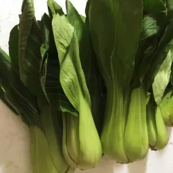Bok Choy at Bacolodpages