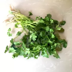 Cilantro