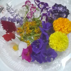 Edible Flowers from Bacolod Pages