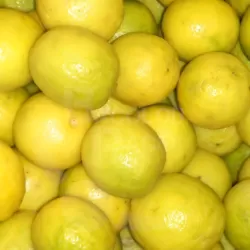 Lemons Baguio at Bacolod pages