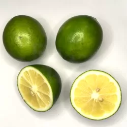 Lime