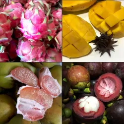 Dragon Fruit + Pomelo + Mango + Mangosteen