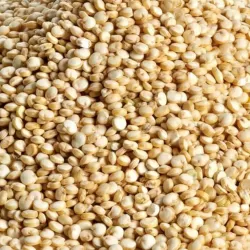 Quinoa - white