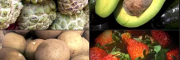 Fresh Seasonal Fruits at Bacolod Pages