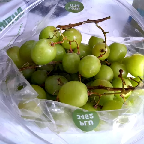 Green Grapes USA