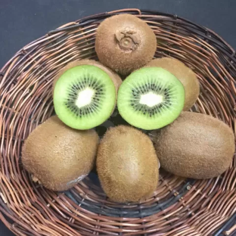 Kiwi Green