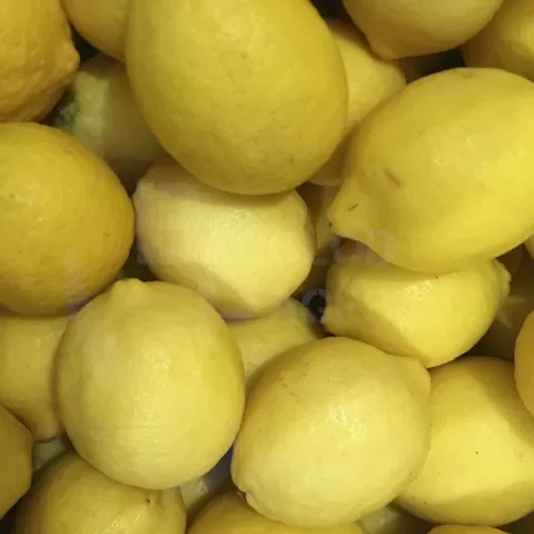 Lemon