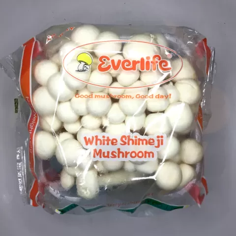 Mushroom White Shimeji