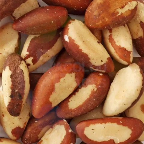 Brazil Nut