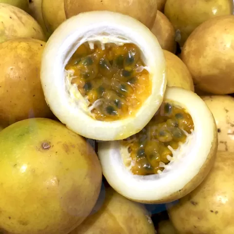 Passion Fruit