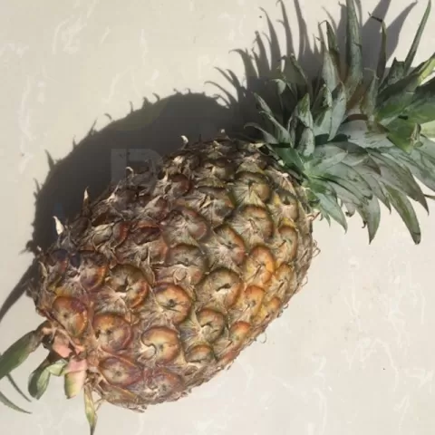 pineapple