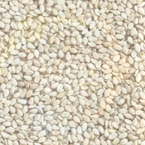 Sesame Seeds White