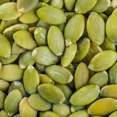 Squash seeds at Bacolod pages