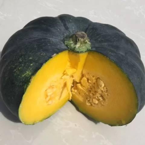 Squash 