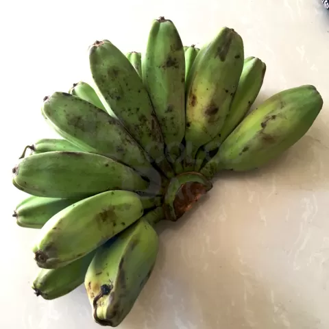 Banana Sab-a Hilaw