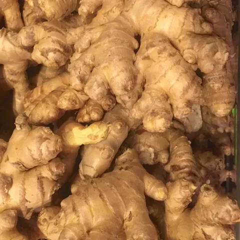 Ginger