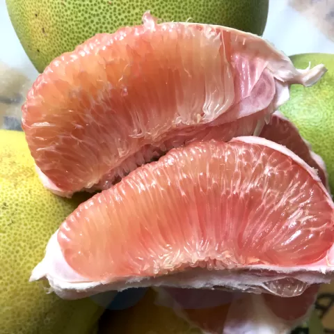 pomelo at Bacolod Pages