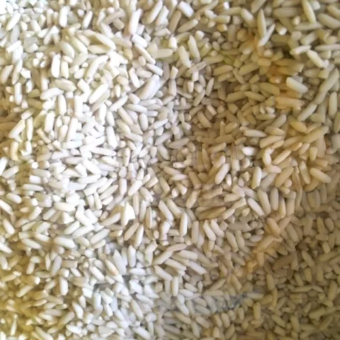 Rice Pilit