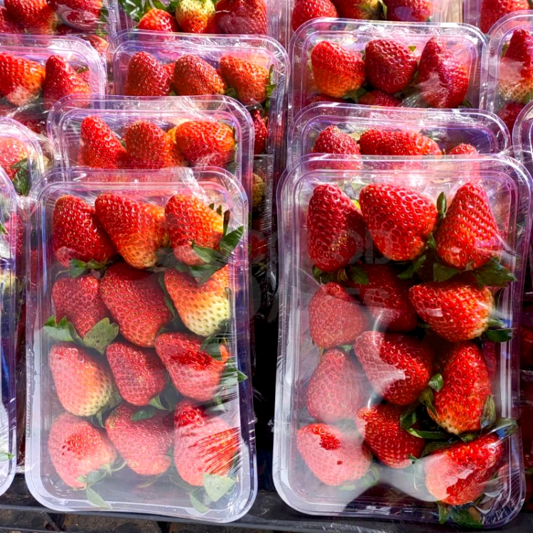 King Jumbo Strawberries at Bacolod Pages